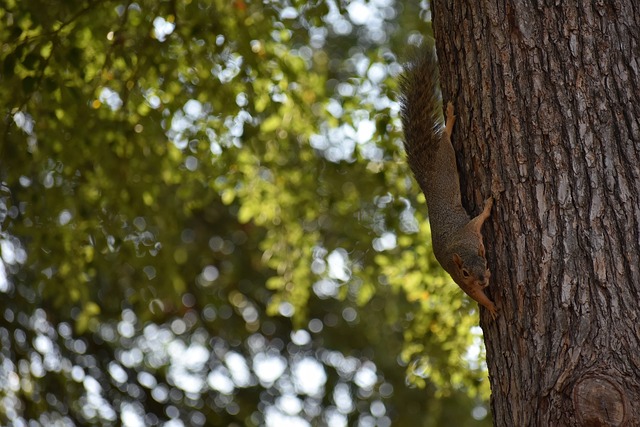 一次职业生 一次职业生