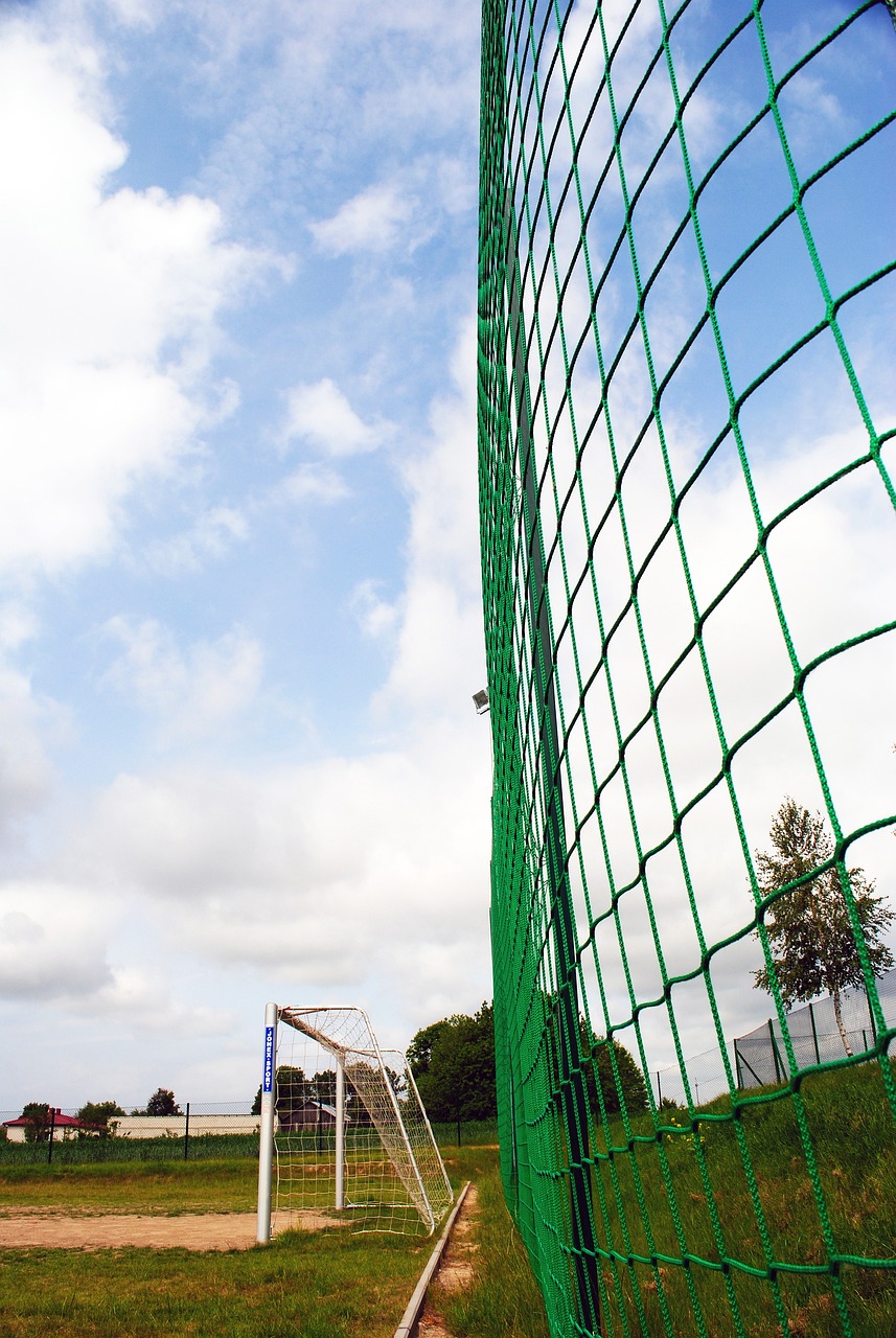 他们仍能展 他们仍能展