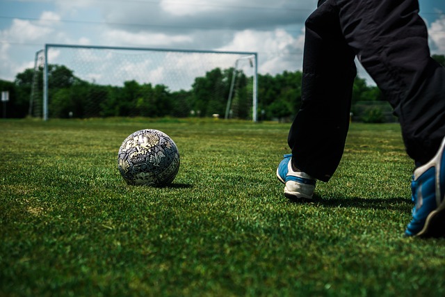 教练的选择 教练的选择