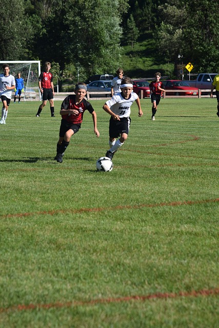 综合表现的 综合表现的