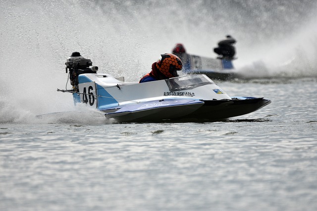 成熟球员的 成熟球员的