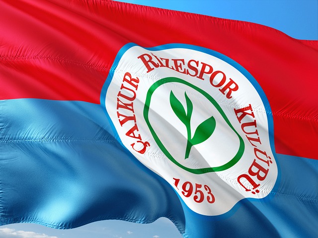 比赛策略 比赛策略