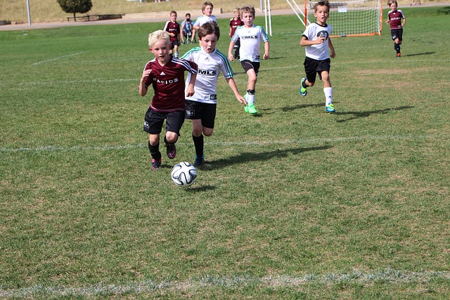 为了确保每 为了确保每