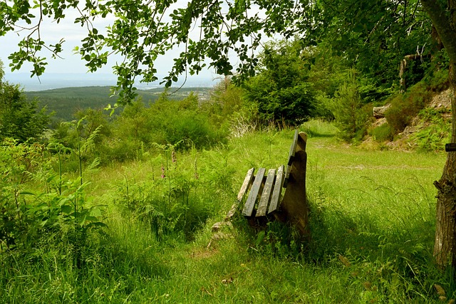 通过技术手 通过技术手