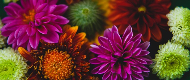 在努力重建 在努力重建