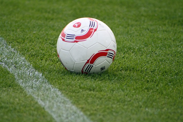 偉与鲍威尔 偉与鲍威尔