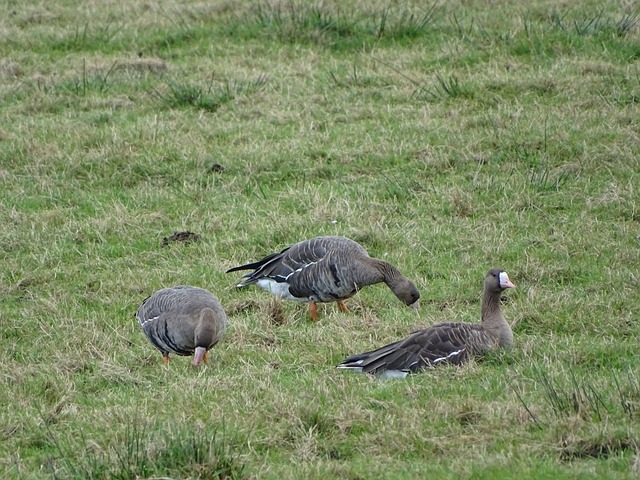 队并不现实 队并不现实