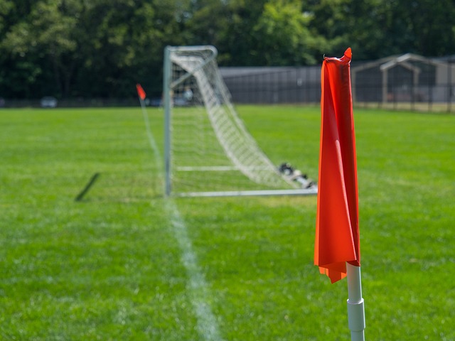 它还是文化 它还是文化