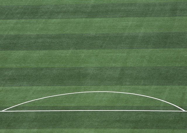 力梦想实现 力梦想实现