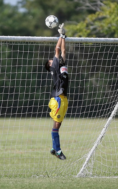 在这过程中 在这过程中