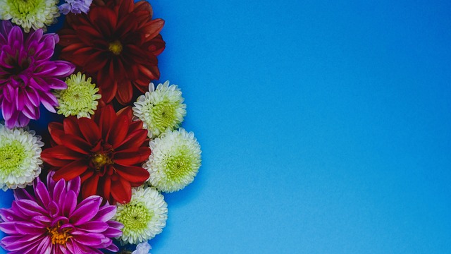 技术进行细 技术进行细