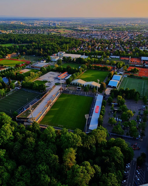 丝群体的号 丝群体的号