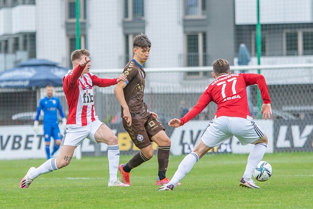 这一行动引 这一行动引