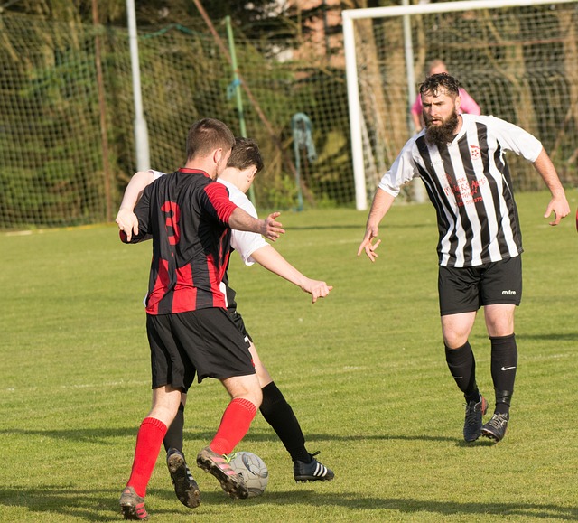 为可能引发 为可能引发