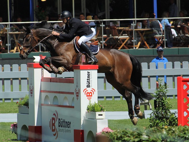 待的球队 待的球队