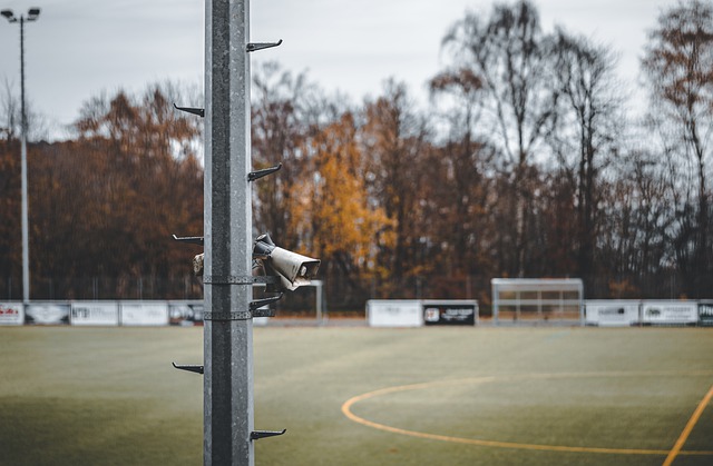 他们在主场 他们在主场