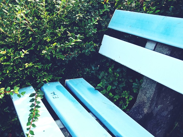 角色没有发 角色没有发