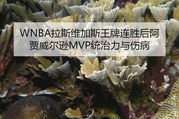 la-si-wei-jia-si-wang-pai-lian-sheng-hou-a-jia-wei-er-xun-tong-zhi-li-yu-shang-bing-3-771.jpg